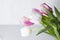 Bouquet of white and pink tulips on a white background. Spring mood, blossoming flowers for romantic, love atmosphere