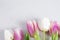 Bouquet of white and pink tulips on a white background. Spring mood, blossoming flowers for romantic, love atmosphere