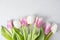 Bouquet of white and pink tulips on a white background. Spring mood, blossoming flowers for romantic, love atmosphere