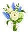 Bouquet of white ranunculus and blue grape hyacinth flowers. Vector illustration.