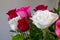 Bouquet of white, red and pink roses taken from the side with shallow-depth or field and triangular copy space