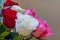 Bouquet of white, red and pink roses taken from the side with shallow-depth or field and triangular copy space