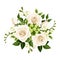 Bouquet of white roses and freesia flowers. Vector illustration.