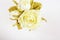 Bouquet of white roses.White background.Flat lay, top view.Copy