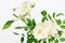 Bouquet of white roses on the white background. Nice gift for any event or holiday. Happy Mother`s day, Sant Valentine`s Day