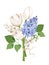 Bouquet of white tulips, blue lilac flowers and lily of the valley. Vector illustration.