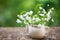 Bouquet of white wild delicate flowers in a kettle vase