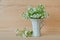 Bouquet of white wild flowers of stellaria holostea in a cup on