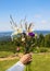 Bouquet of wild flower in woman\'s hand on mountains background