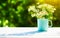 Bouquet of wild flowers in cup on wooden table on a background