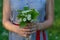 A bouquet of wild flowers in the hands of a girl on the grass on a sunny calm summer day