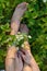 A bouquet of wild flowers in the hands of a girl on the grass on a sunny calm summer day. Bare feet and enjoyment