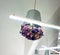 A bouquet of wild flowers suspended from the ceiling in an iron bucket