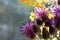 bouquet of wild flowers of the Thistle and tutsan wort