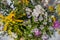 Bouquet of wildflowers - chamomile, clover, yarrow, tansy, thistle, aster, golden vine