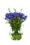 Bouquet of wildflowers - cornflowers in a glass vase isolated on white background