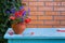 Bouquet of wildflowers - cornflowers and poppies in vase on table beside brick wall background in garden