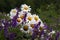 A bouquet of wildflowers daisy lies on the gray flowers of mouse peas Vicia cracca. Summer, field, concept