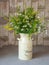 Bouquet of wildflowers in a high pale yellow metal planter on a gray table