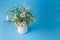 Bouquet of wildflowers in jar on plain blue background