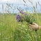 Bouquet of wildflowers in the palms of girl on background of summer meadow with spikelets, ears, sky. Concept of seasons