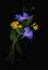 Bouquet of wildflowers in yellow and blue colors isolated on black. Concept of Ukraine