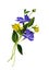 Bouquet of wildflowers in yellow and blue colors isolated on white. Concept of Ukraine