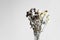 Bouquet of wilted flowers on a white background