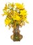 Bouquet of wilted yellow daylily flowers in a glass vase Isolated on a white background. Very beautiful flowers