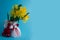 Bouquet of yellow daffodils tied with red-white martenitsa, martisor on blue background
