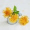 Bouquet of yellow dandelions flowers in small toy decorative watering can, light background. Concept of springtime