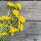 Bouquet of yellow field flowers on a old wooden background, rustic stillife