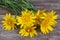 Bouquet of yellow flowers salsify on a wooden