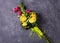 Bouquet of yellow, pink roses.. Still life with colorful flowers. Fresh roses.