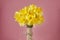 Bouquet of yellow spring flowers. Bunch narcissus packed craft paper. Spring card for Mother`s Day and Easter