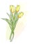 Bouquet of yellow tulips. Watercolor style.