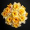 A bouquet of yellow and white daffodils