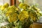 Bouquet of yellow wild flowers of the yarrow