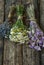 Bouquets of camomile, lavender and chicory