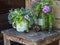 Bouquets of colorful field flowers. pine cones on an old stool on a rustic porch