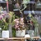 The Bouquets of dried flowers in ceramic vases, begonia in a pot on tables, as an ornament of office space