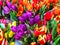 Bouquets of fresh colorful tulips, sale in the market