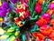 Bouquets of fresh colorful tulips, sale in the market