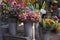 The Bouquets of hydrangea and pink snow berries for sale at the entrance to the store