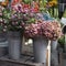 The Bouquets of hydrangea and pink snow berries for sale at the entrance to the store