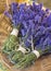 Bouquets of lavender flowers for sale at farmers market. Natural, organic aromatherapy herbs.