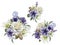 Bouquets of roses, petunias and hellebore flowers. Set of watercolor flowers