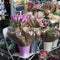 Bouquets of spring flowers. tulip, ranunculus, hyacinth