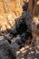 Bourke Luck Potholes, Rock formation, Blyde River Canyon, South Africa