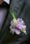 Boutonniere flower in the pocket of the groom on wedding ceremony
